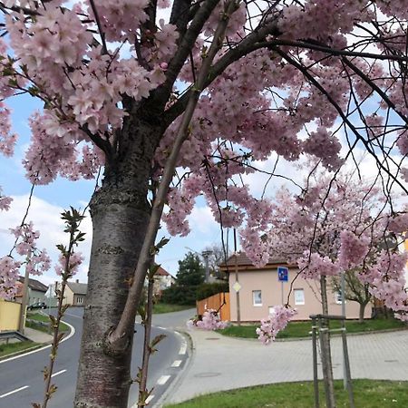 Apartmany Na Vrsku Pilsen Exterior foto
