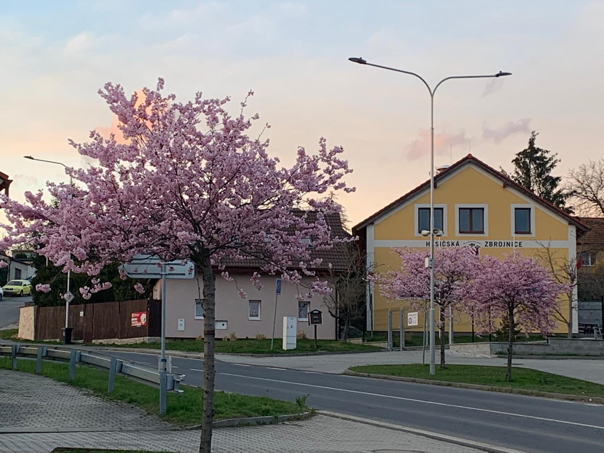 Apartmany Na Vrsku Pilsen Exterior foto