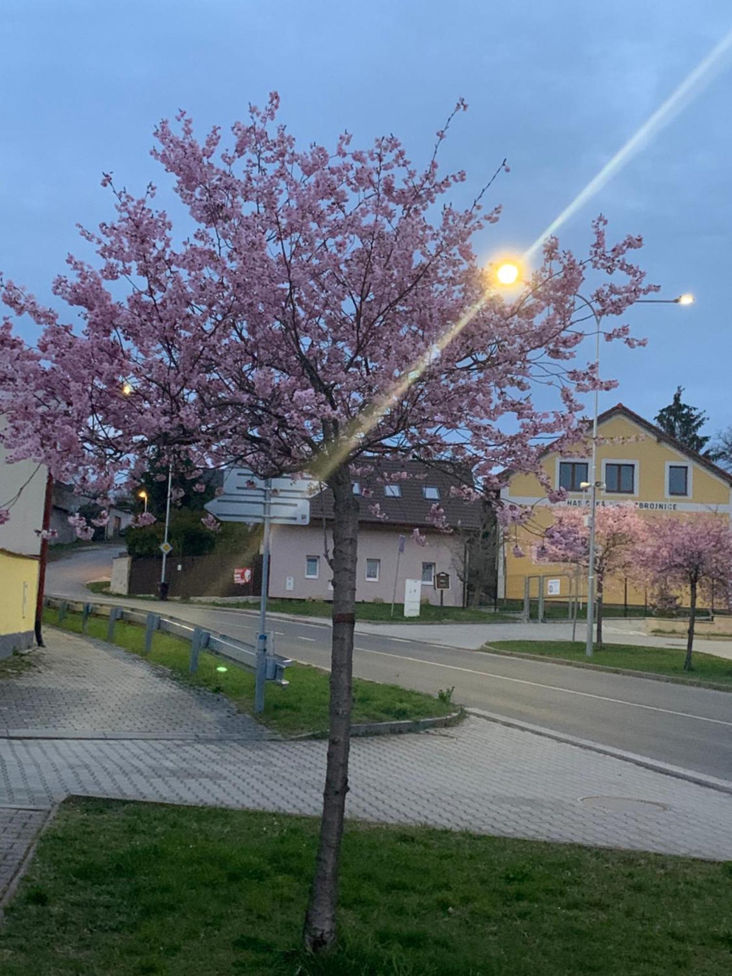 Apartmany Na Vrsku Pilsen Exterior foto