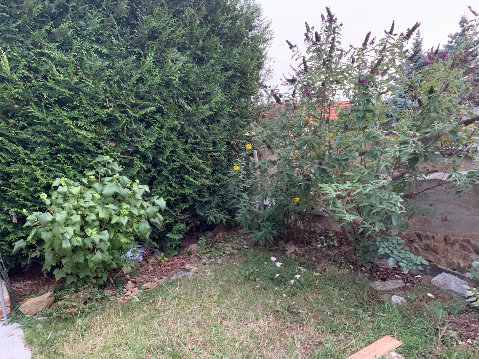 Apartmany Na Vrsku Pilsen Exterior foto