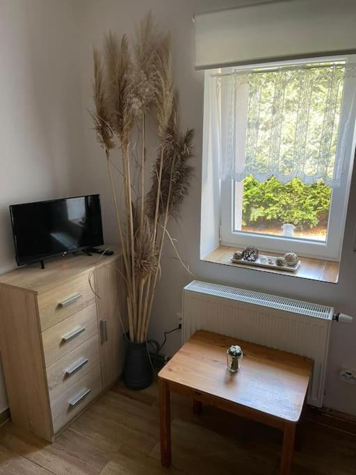 Apartmany Na Vrsku Pilsen Exterior foto