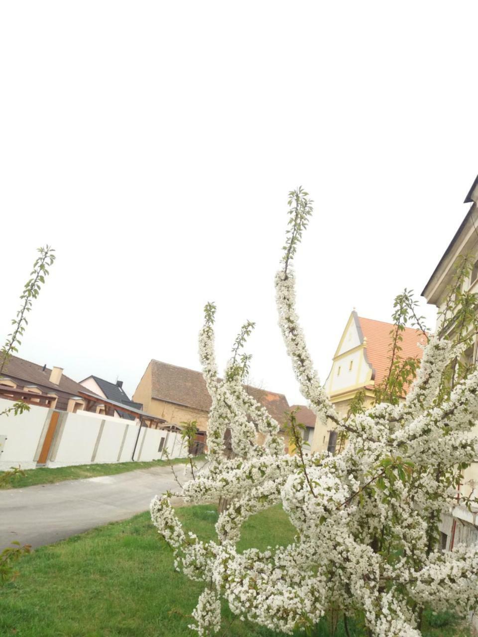 Apartmany Na Vrsku Pilsen Exterior foto