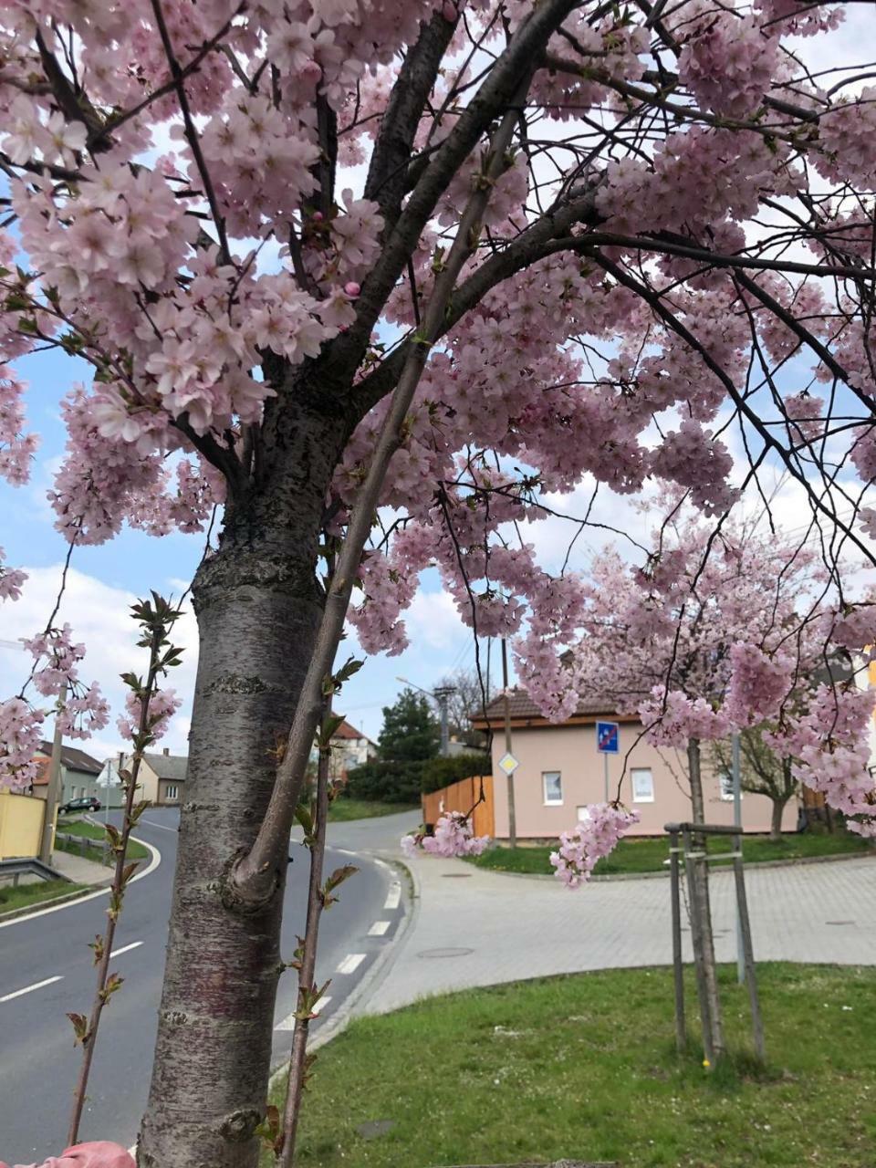 Apartmany Na Vrsku Pilsen Exterior foto